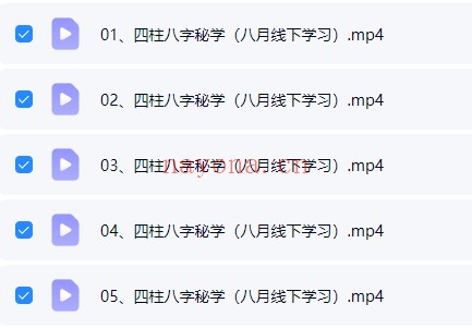 邵友华邵氏八字大师班8月线下课程5集 八字教程