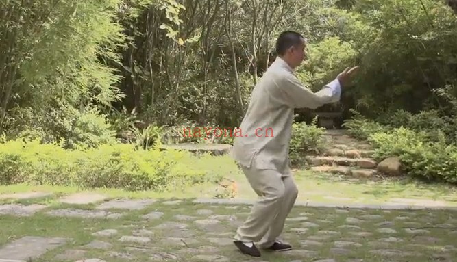 张志刚华佗五禽戏教学跟练18集视频 五禽戏教程