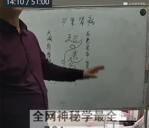 聂其伟面授16800元 祝由术视频15集