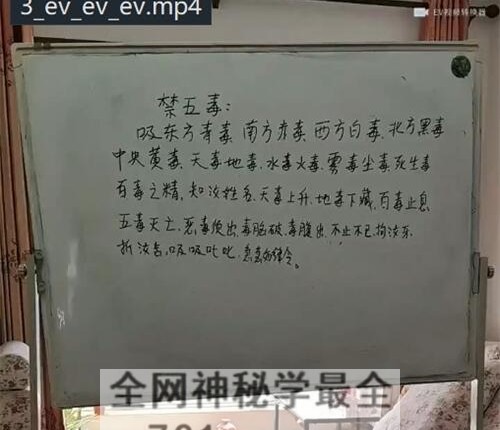 聂其伟面授16800元 祝由术视频15集