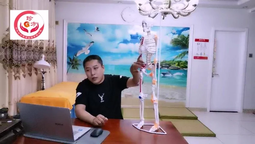 《胡建明网课1000元宗筋疗法》视频13集