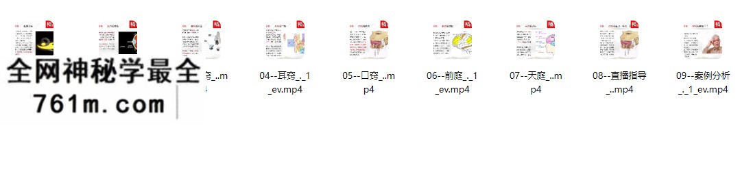 梁振华道家醒脑开窍术9集视频