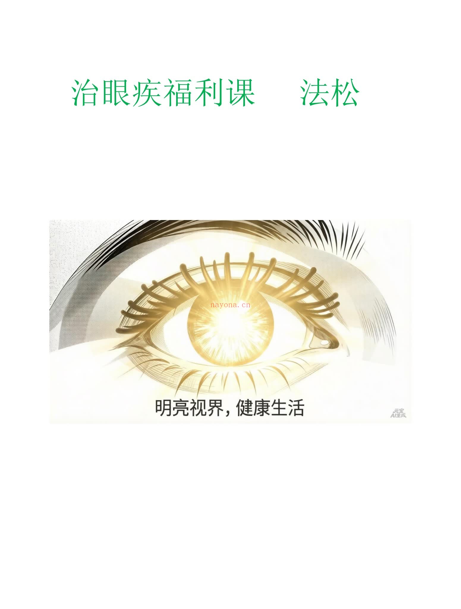 法松《治眼疾专题》（视频1集+文档）