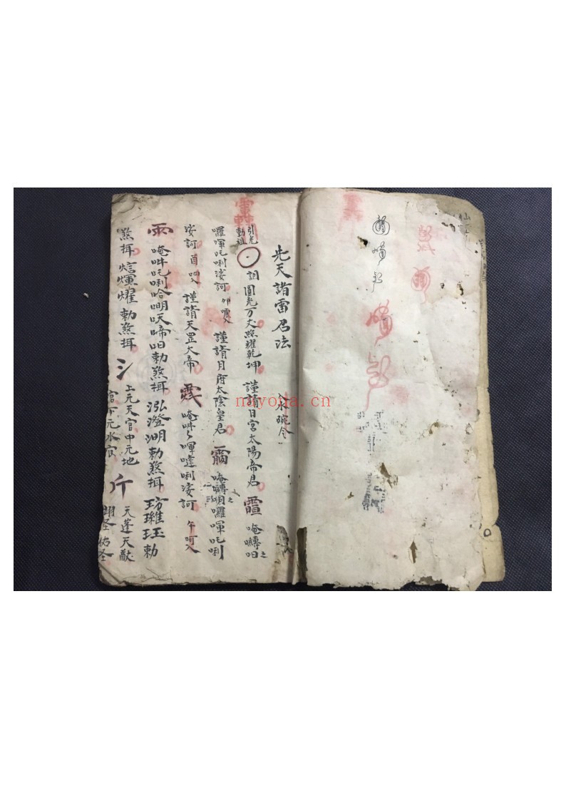 先天炼科-先天诸雷召法内炼金科