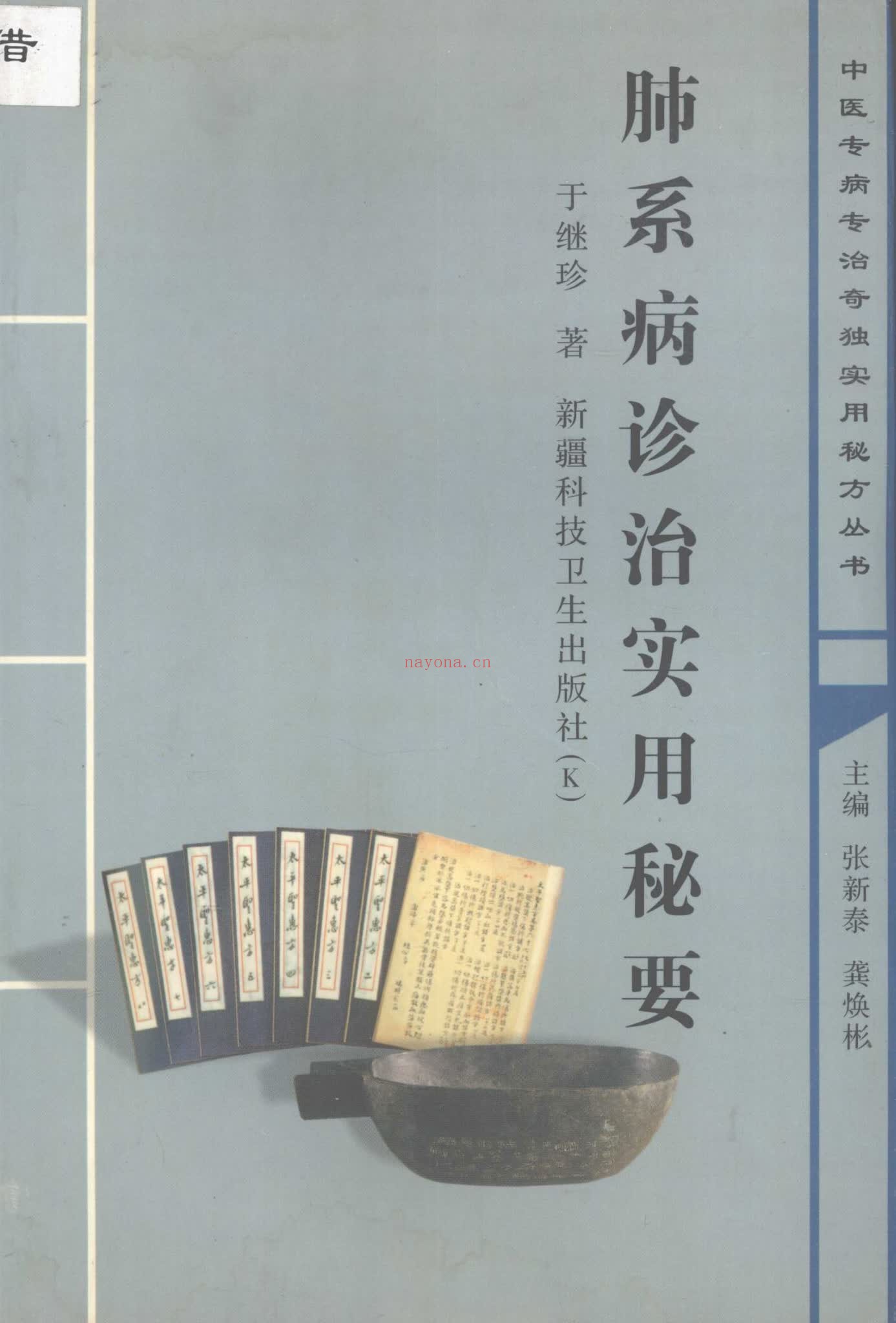 《肺部病诊治实用秘要附案例》PDF电子书（339页）