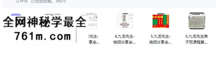 九龙道长《23800弟子班绝招分享会》（16 期）六集视频课