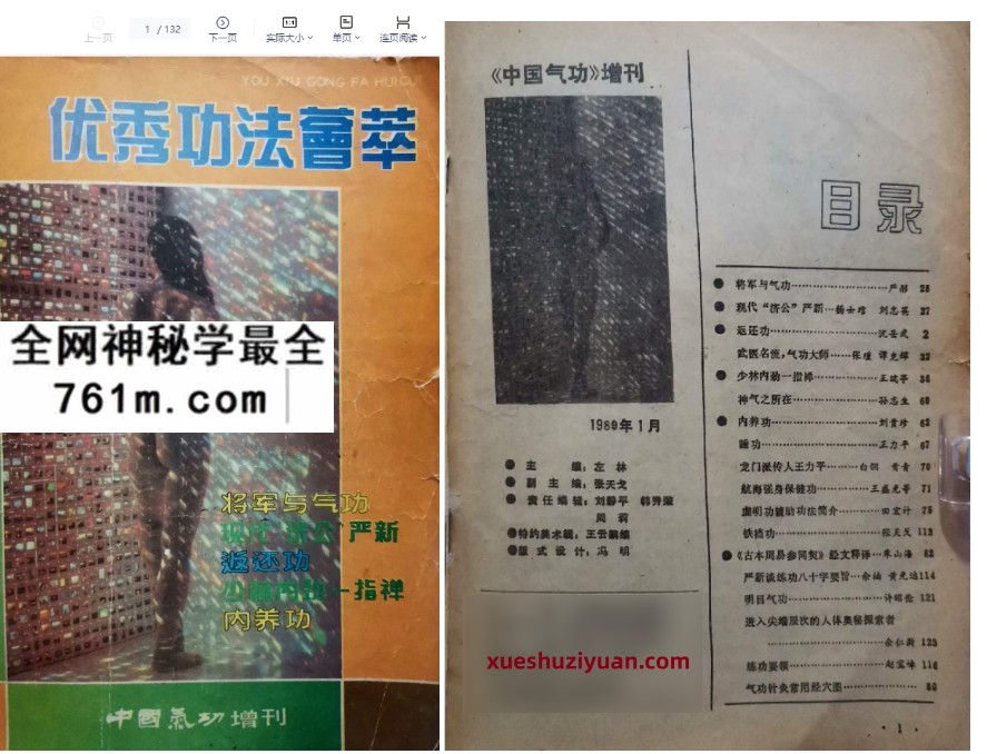 201中国气功增刊 (1册)