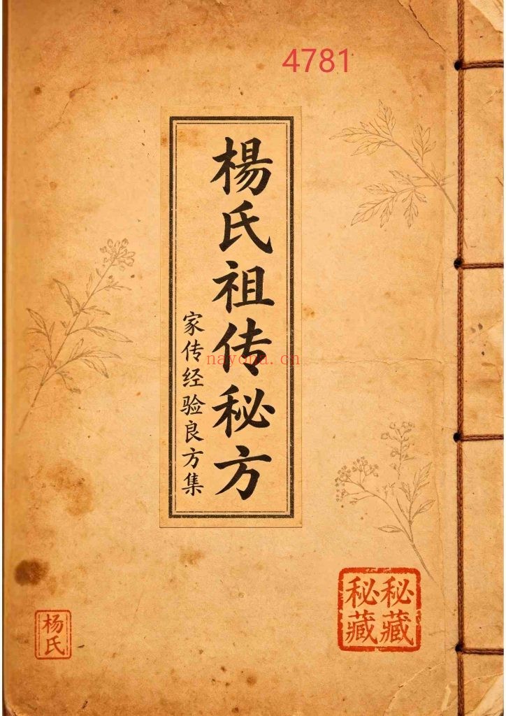 《杨氏祖传秘方》中药外治秘方