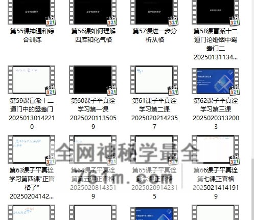 酉叔子平职业班视频73集