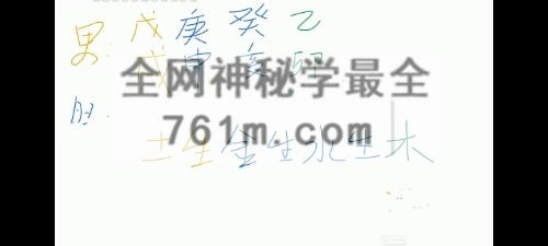 酉叔子平职业班视频73集