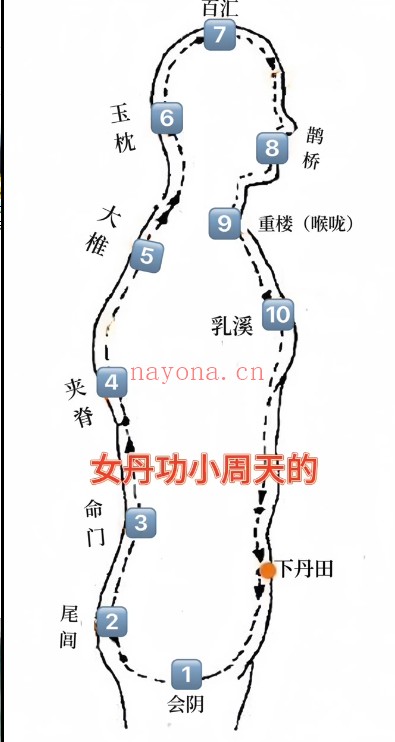 紫琳驻颜女丹功养生同修课7集视频 道家功法