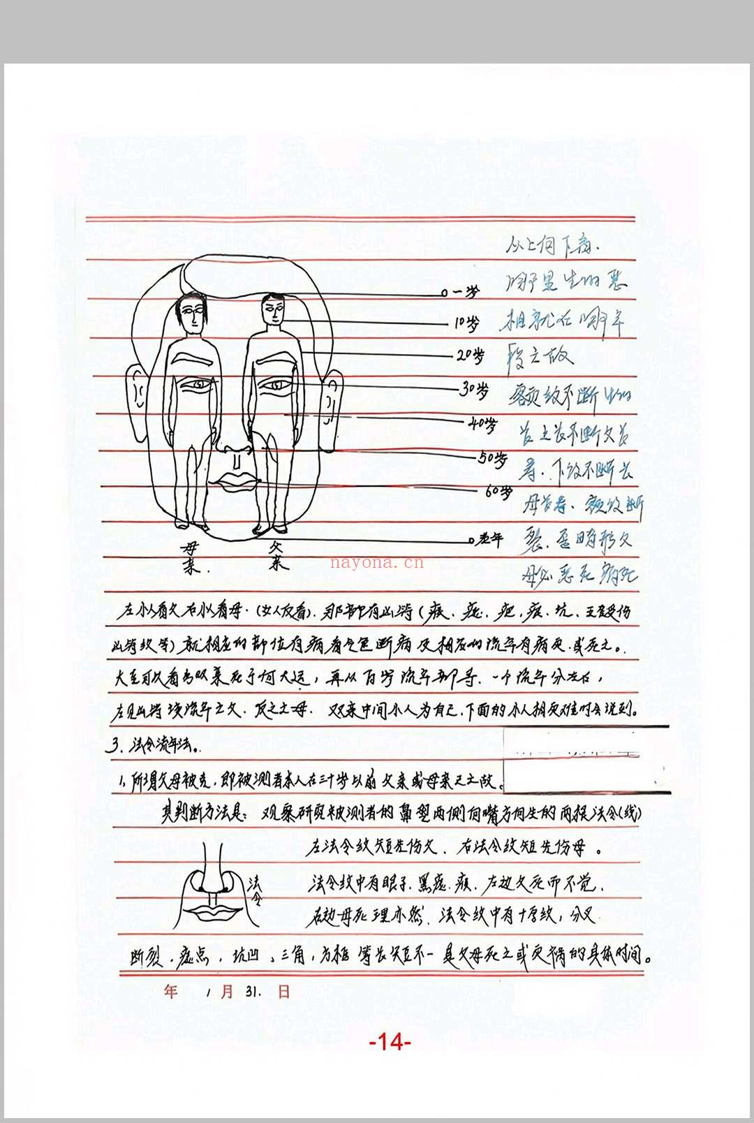 面相过三关秘笈笔记
