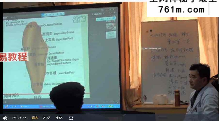 哲龙金三角按摩手法 视频+录音+资料pdf