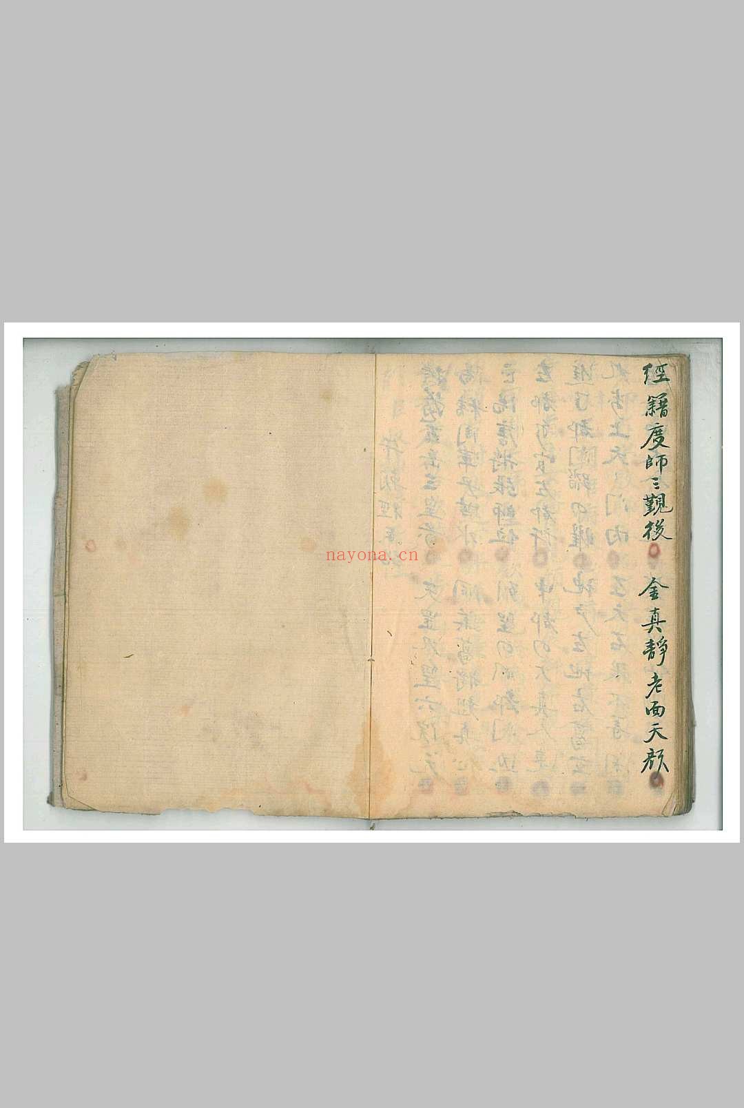 清微朝谒科