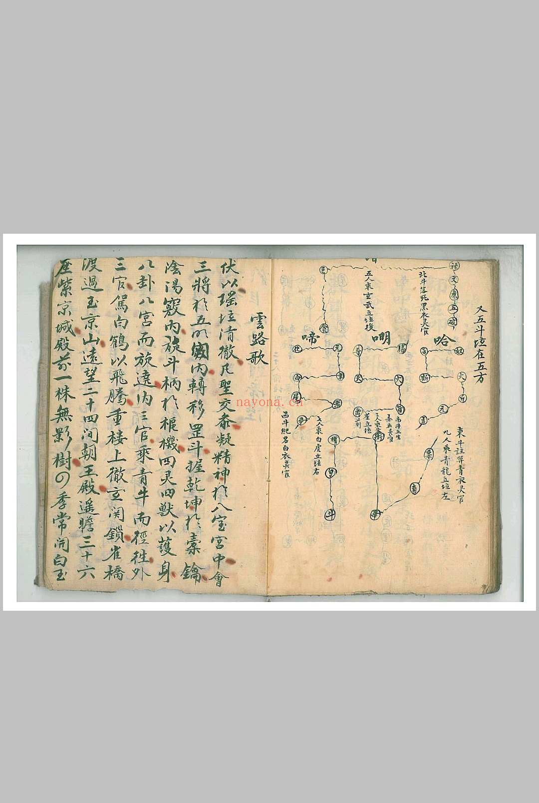 清微朝谒科