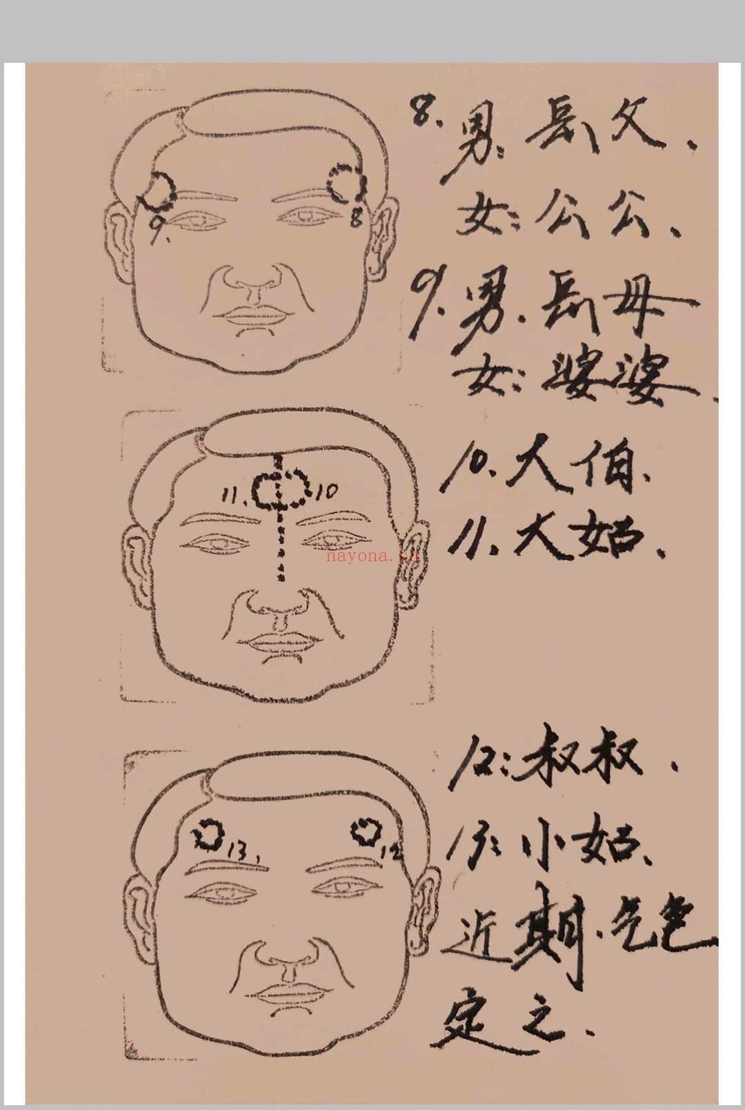 面相过三关秘笈笔记