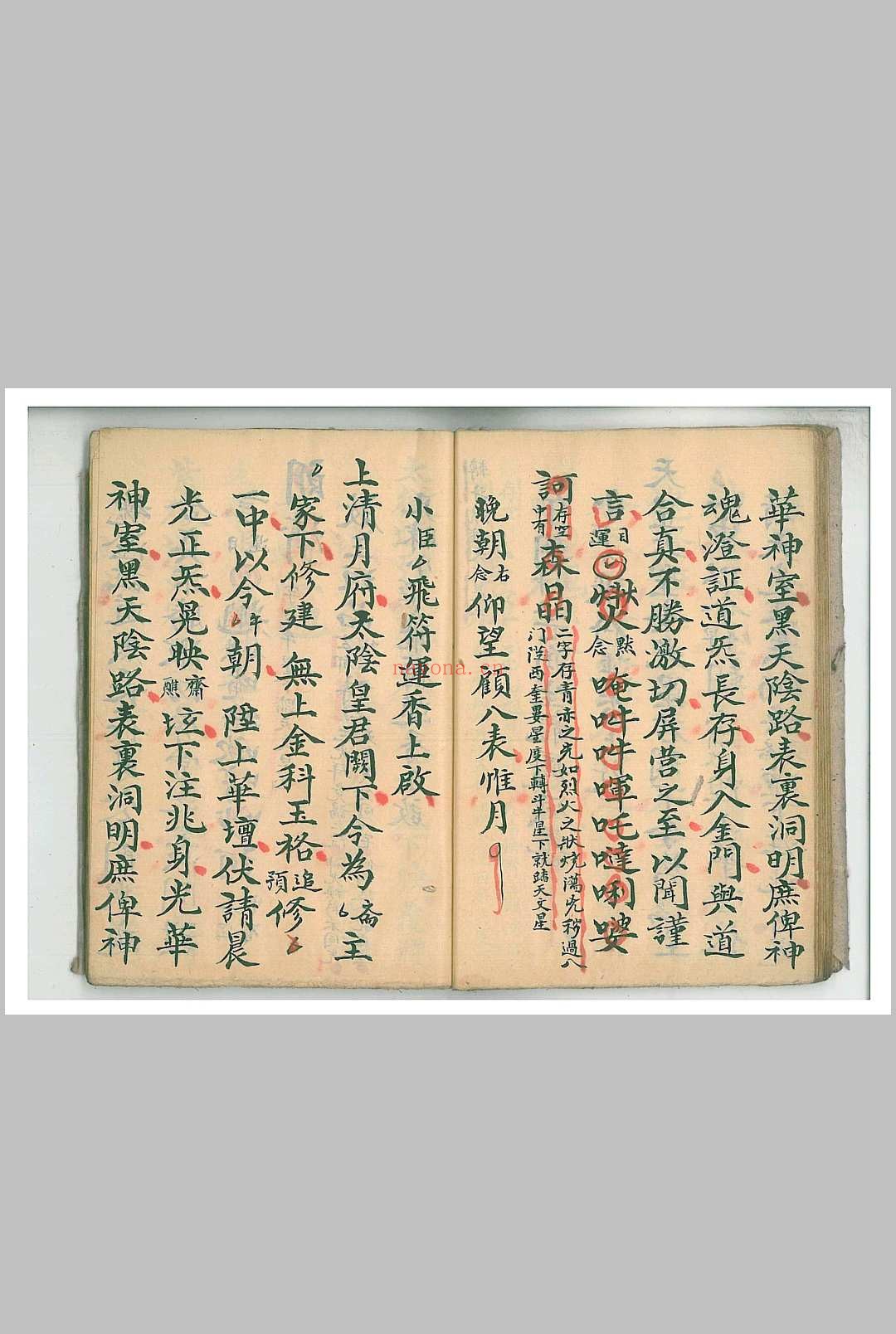 清微朝谒科