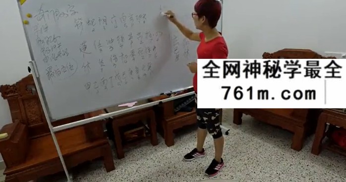 周纳羽2016年奇门遁甲高级班110集