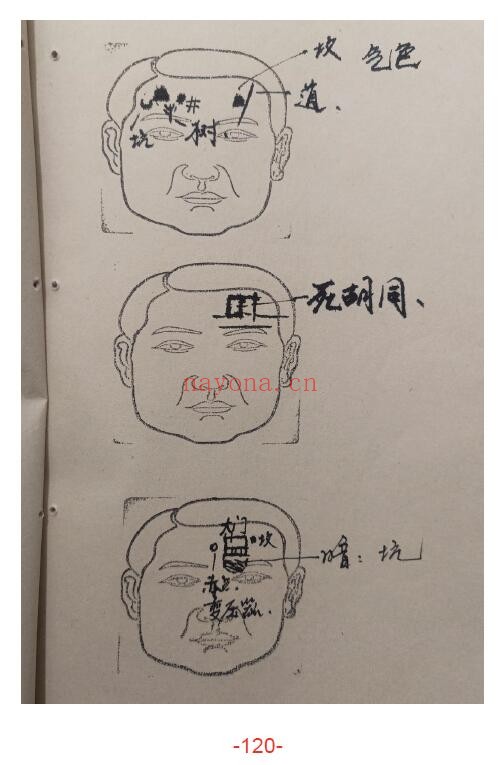 程建评《相法过三关秘笈笔记》186页