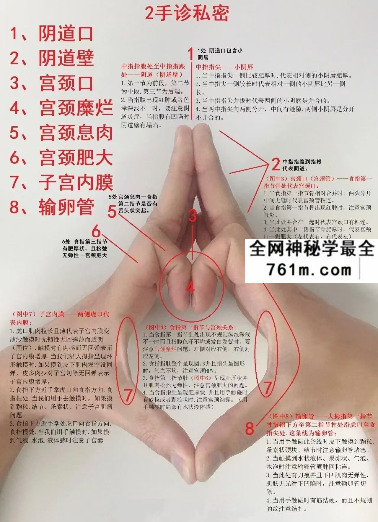 男女私密 手诊