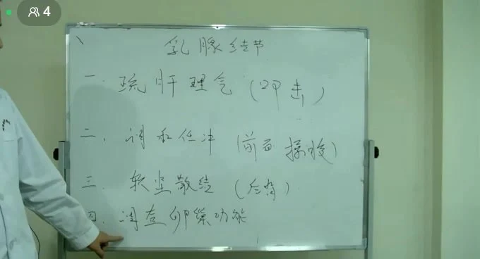 《刘志成盖氏秘传消结术》视频11集