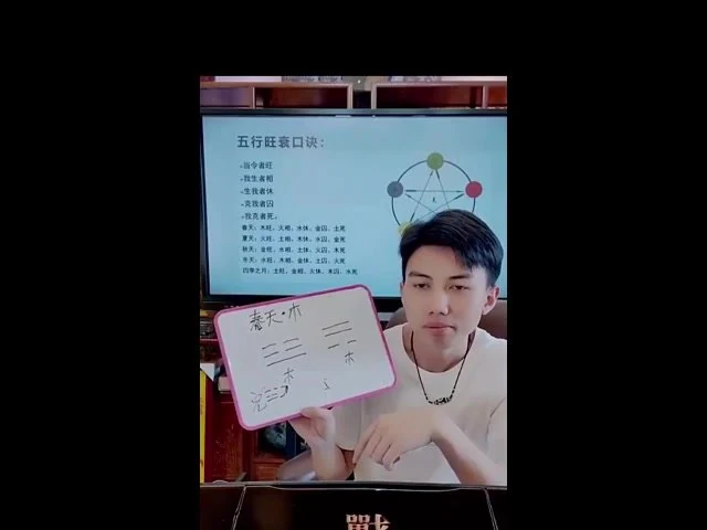 刘绍奇《速成梅花预测高手七大断法》视频8集