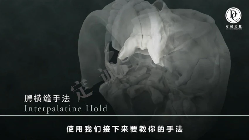 《颅骶疗法合集狄荣科王一凡温谱成何元帅等中医视频