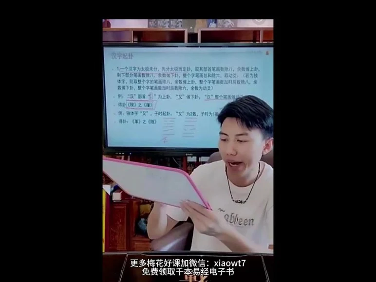 刘绍奇《速成梅花预测高手七大断法》视频8集