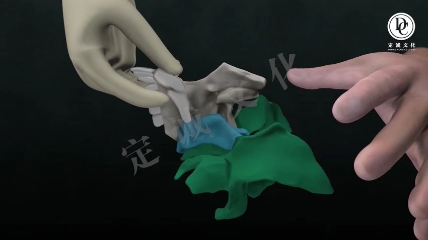 《颅骶疗法合集狄荣科王一凡温谱成何元帅等中医视频