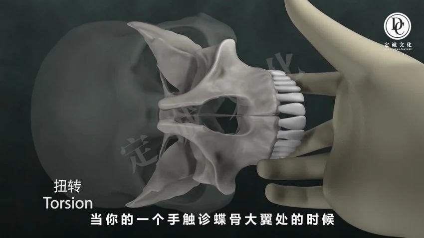 《颅骶疗法合集狄荣科王一凡温谱成何元帅等中医视频
