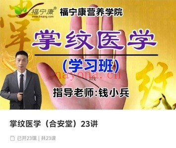 钱小兵掌纹医学合安堂23讲视频+课件 掌纹诊病
