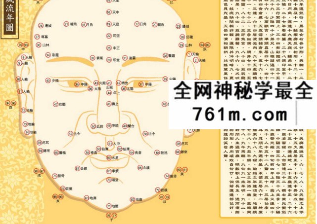 苏民峰 峰生水起精读班 面相篇30集+掌相篇24集