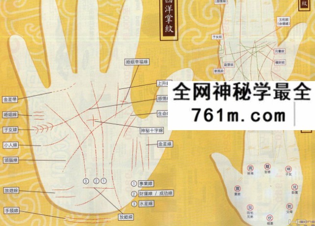 苏民峰 峰生水起精读班 面相篇30集+掌相篇24集