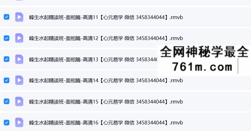 苏民峰 峰生水起精读班 面相篇30集+掌相篇24集
