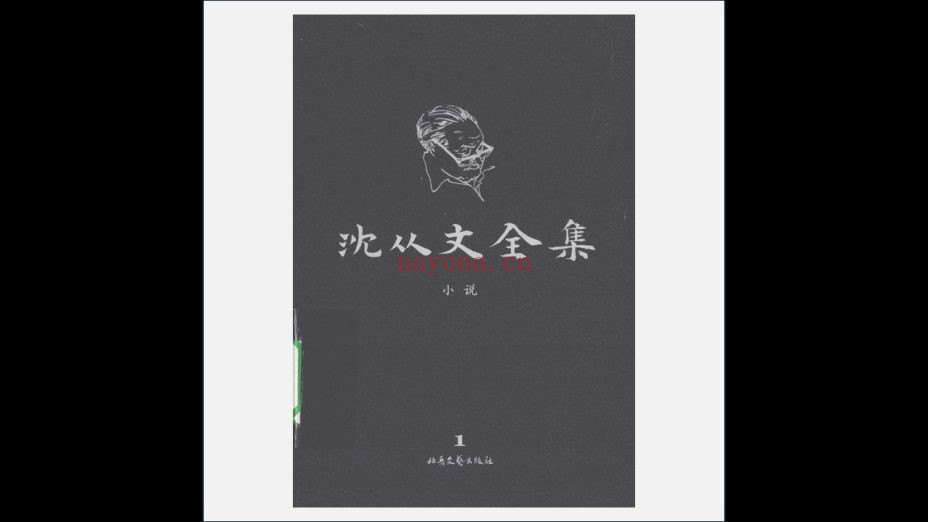 A03Ⅱ-034-002.《沈从文全集·第2版》全32卷存31卷 北岳文艺出版社2009