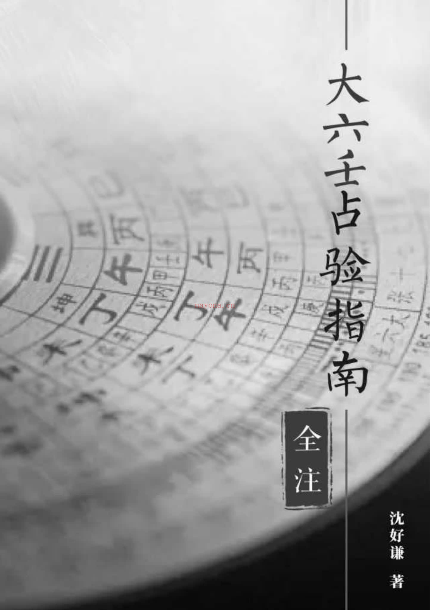 沈好谦《大六壬占验指南全注》PDF电子书（311页）