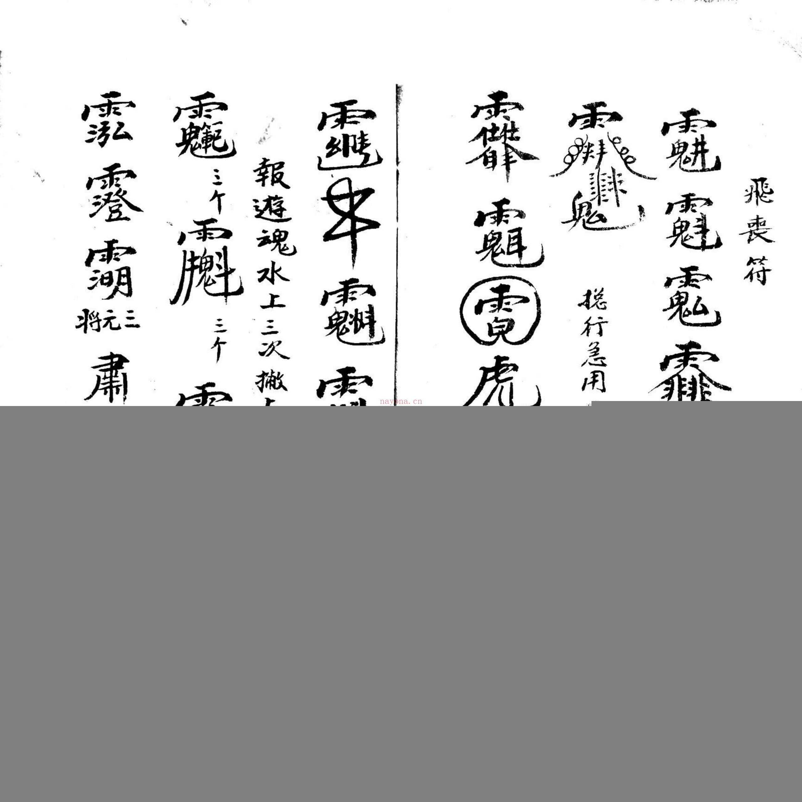 选择科本