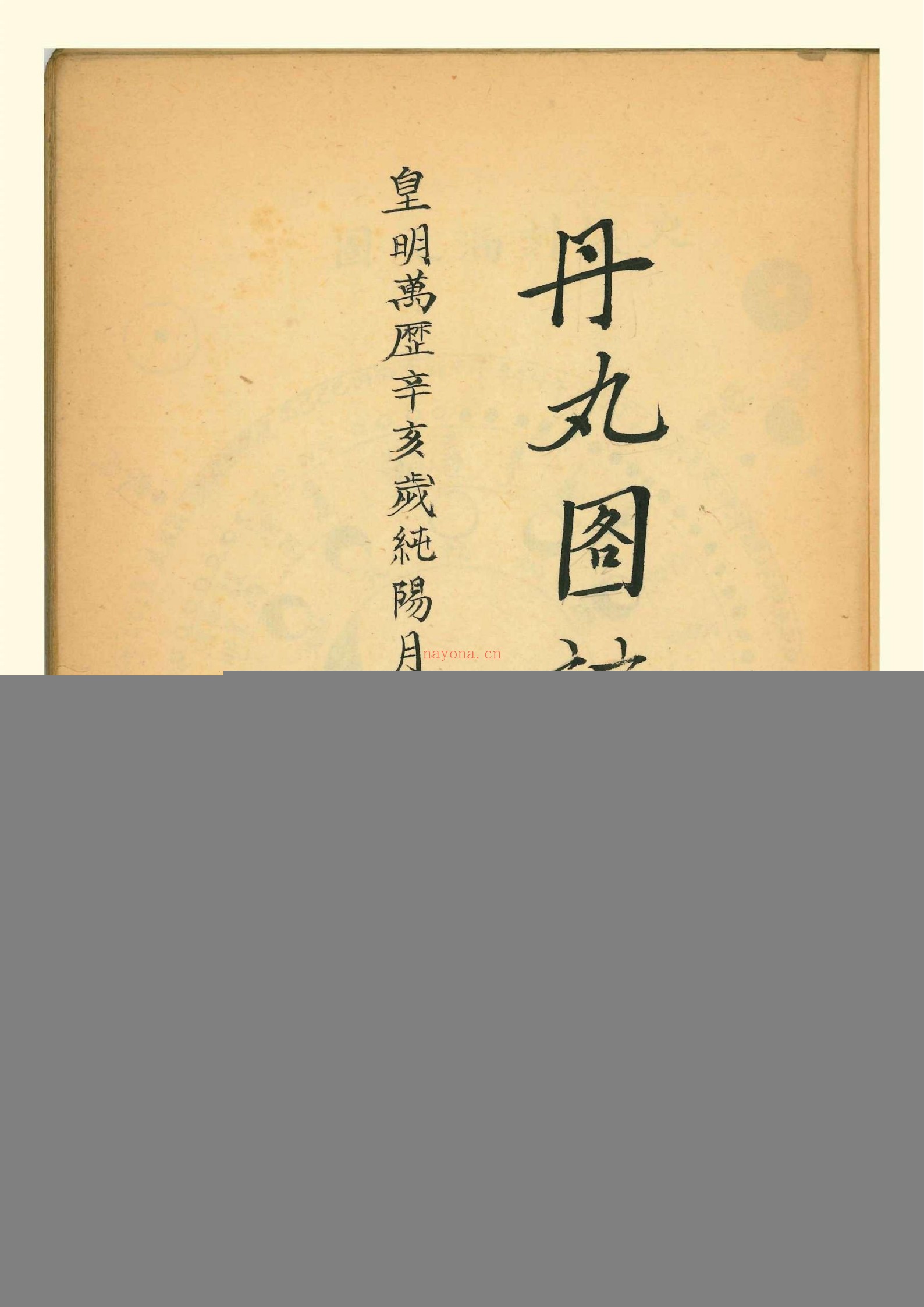 丹丸图注拣选