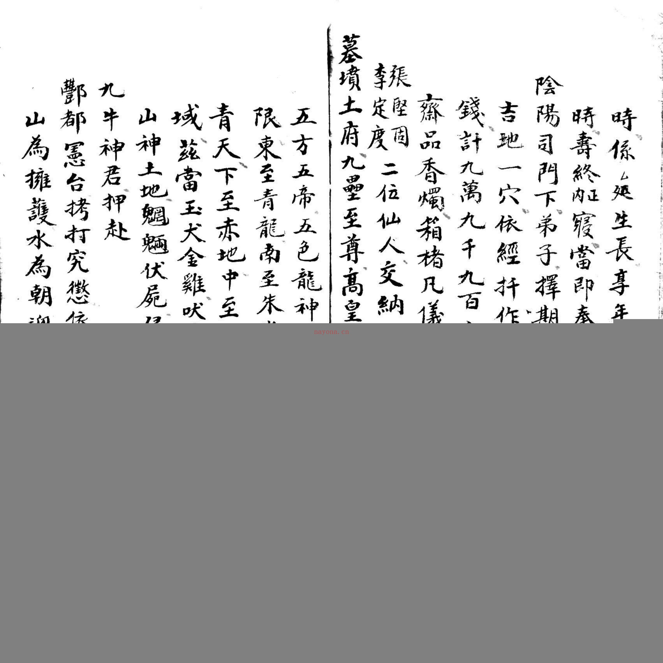 选择科本