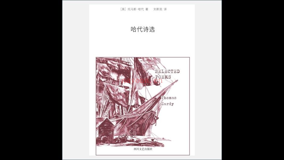 《副本译丛》全9册存6册 四川文艺出版社2015-2020
