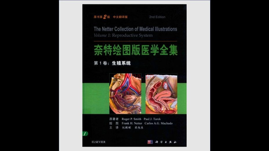 《奈特绘图版医学全集》全8卷存7卷 科学出版社2017-2019