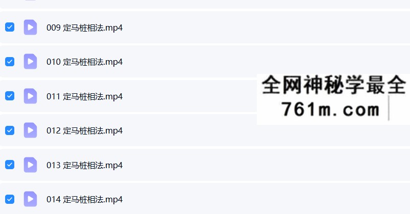 定马桩相法视频 50集