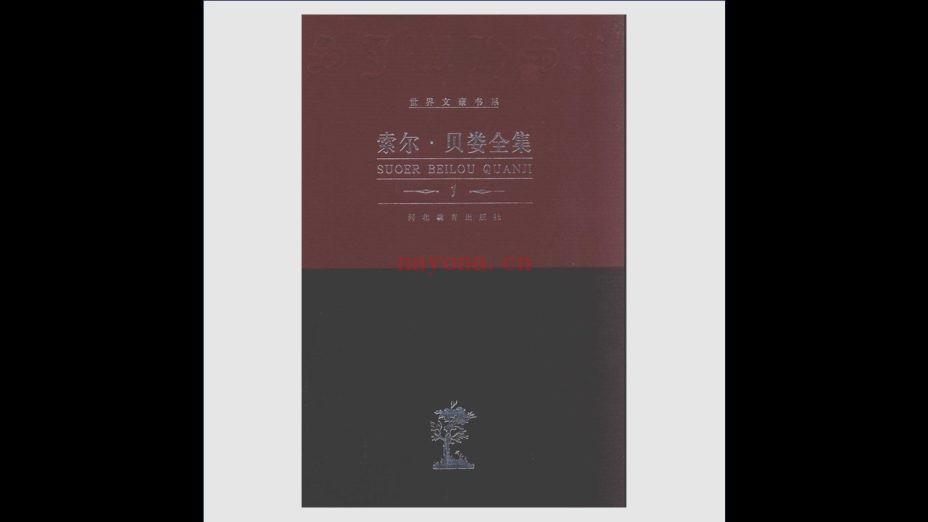 《世界文豪书系》全20部250册 河北教育出版社1994-2010