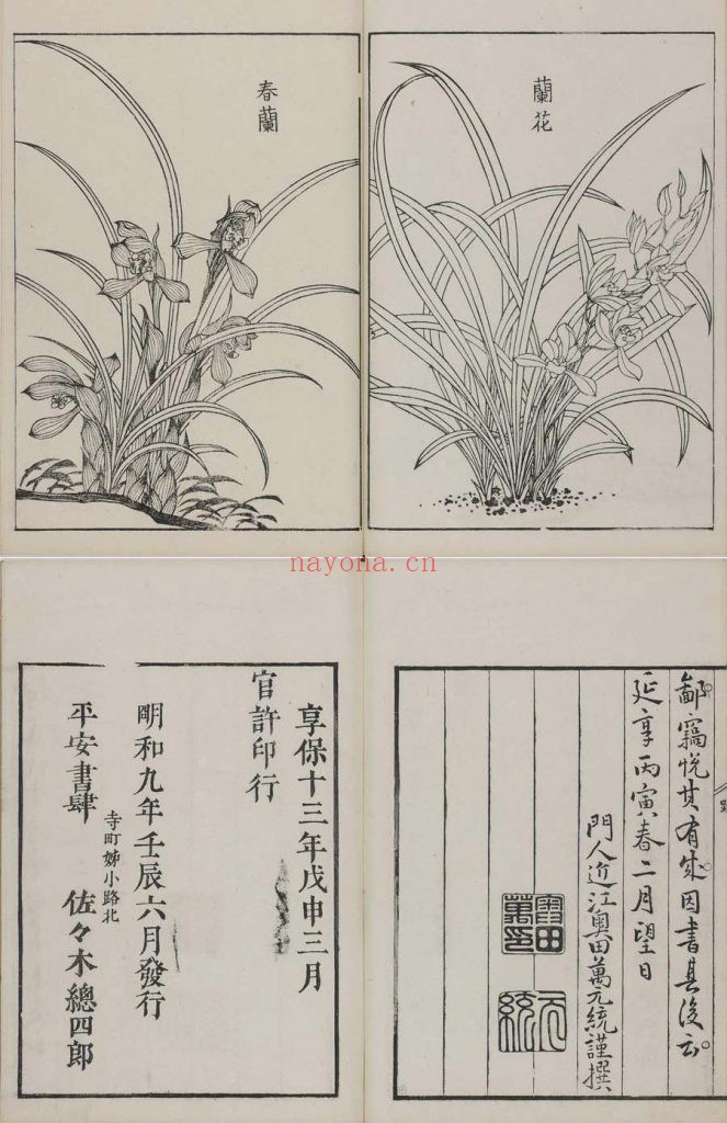 怡颜斋兰品.上下卷.松冈恕菴.编.明和九年刊本 52.97M 爱古籍