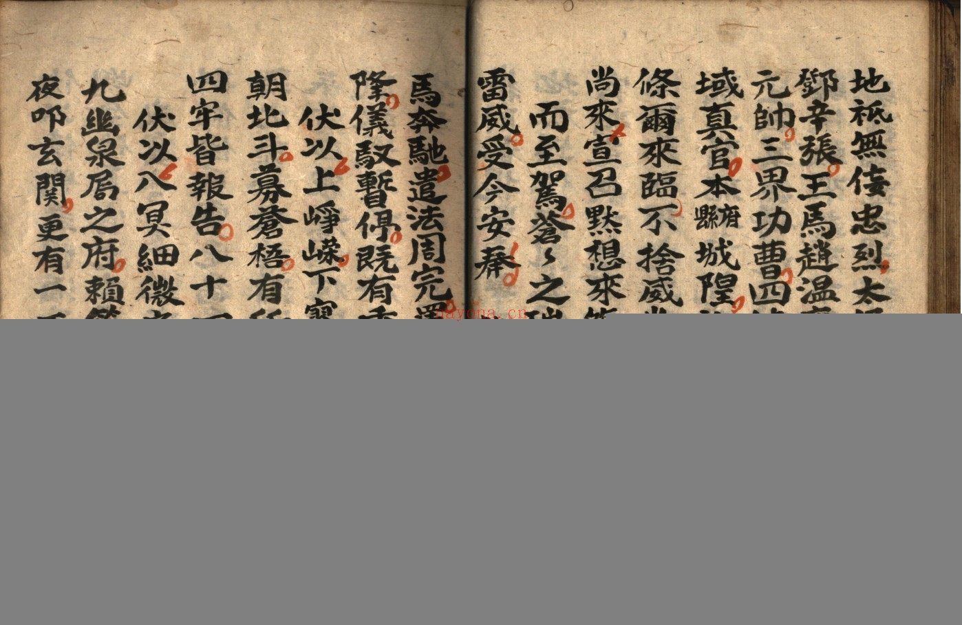 灵宝救苦庭参科