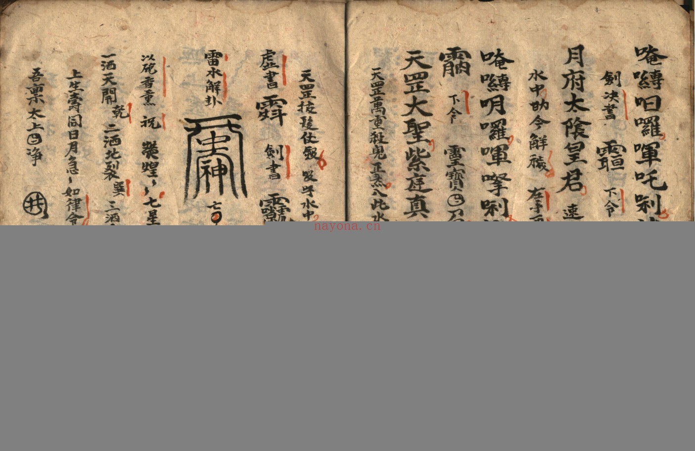 灵宝救苦庭参科