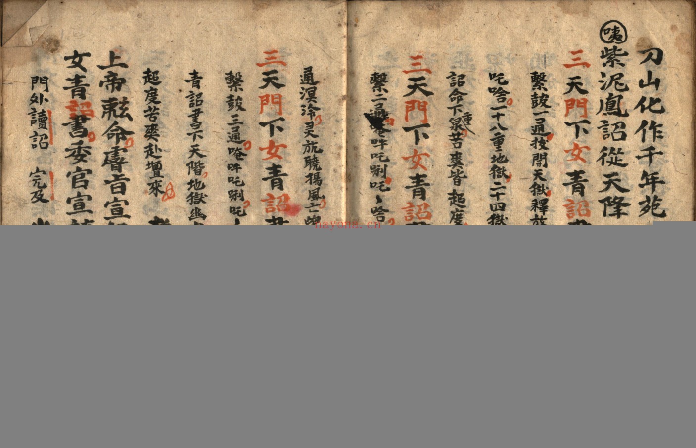 灵宝救苦庭参科