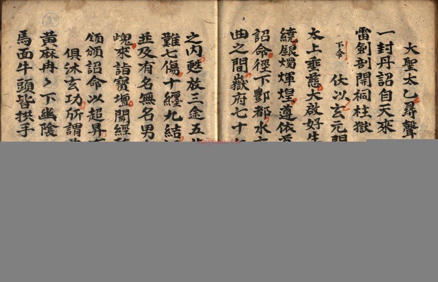 灵宝救苦庭参科