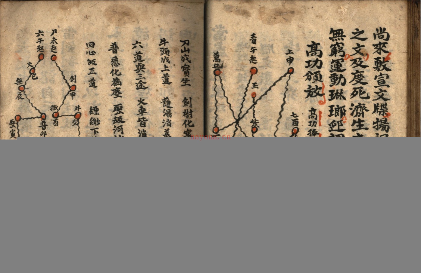 灵宝救苦庭参科
