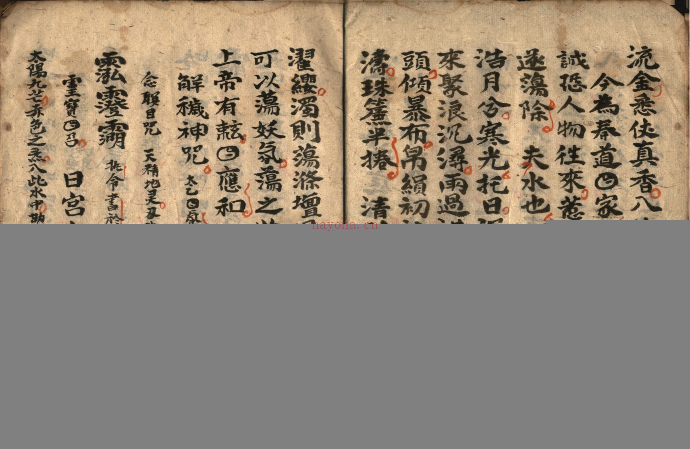 灵宝救苦庭参科